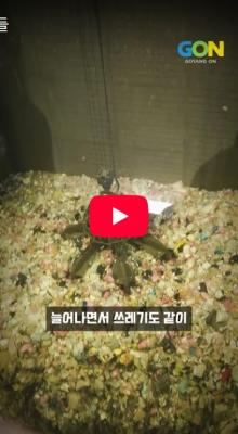 화면 캡처 2026-02-25 110630.jpg